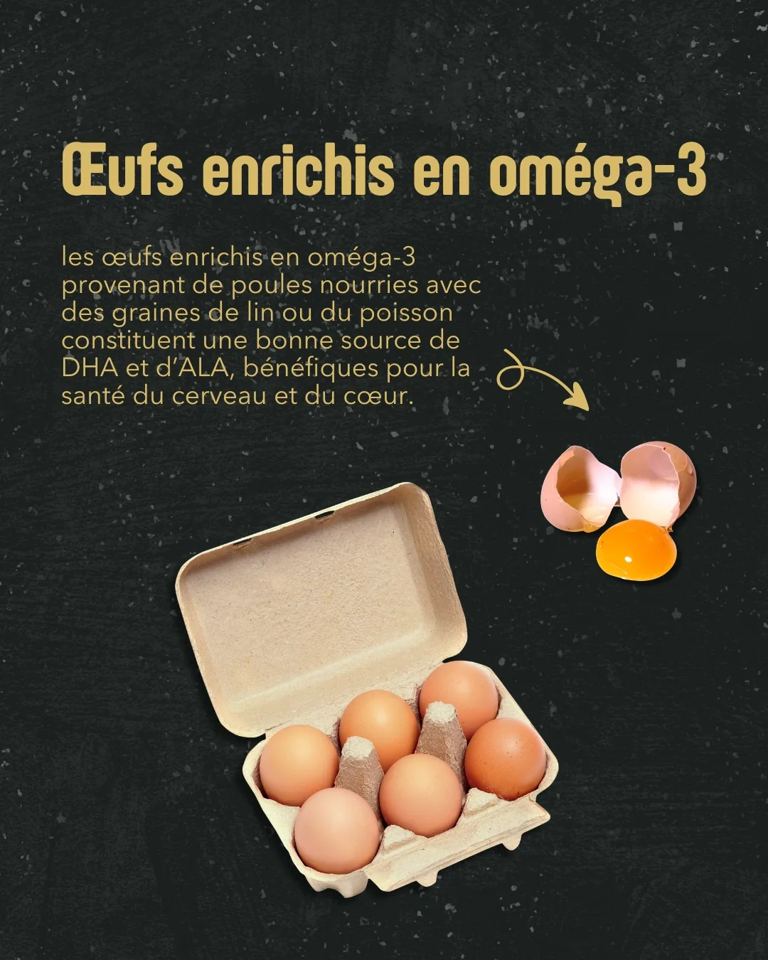 Œufs enrichis en oméga-3 (DHA et ALA)